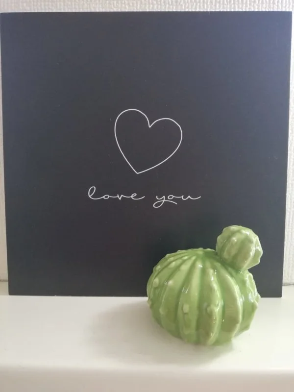 Cactus bol lichtgroen