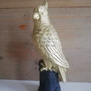 Papegaai-goud