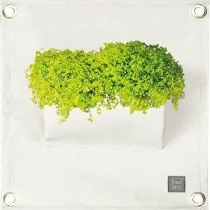 Plantenzak wit binnen & buiten