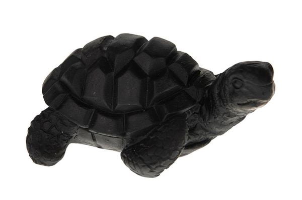 Schildpad zwart 11cm