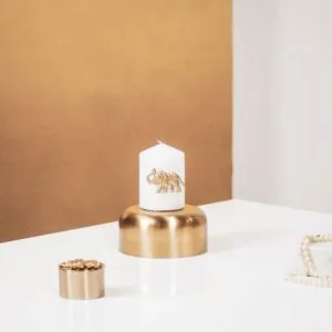 Kaarsenpin olifant goud