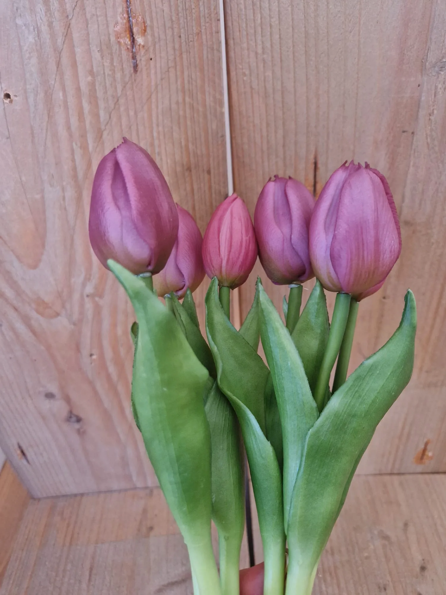 Zijden-tulpen-x3-paars